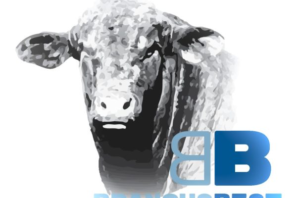 The Beef Price Increase