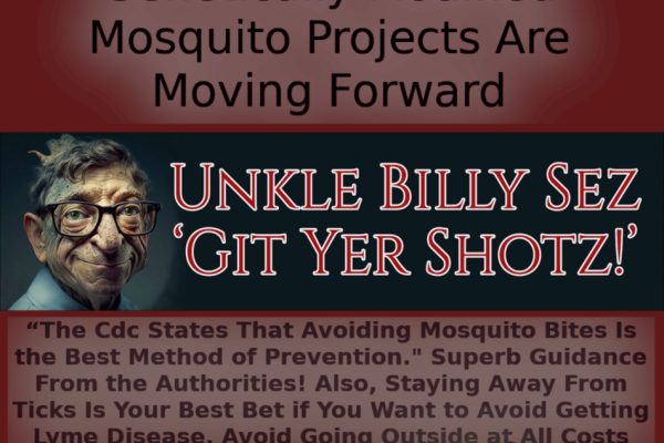 Get Ready: Bill Gates’ Genetically Modified Mosquito Projects Are Moving Forward