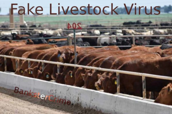 A Human Case of the Livestock Virus Has Been Reported in France—More Psyop